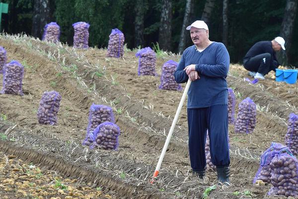 Лукашенко объявил о начале обновления политической системы Белоруссии