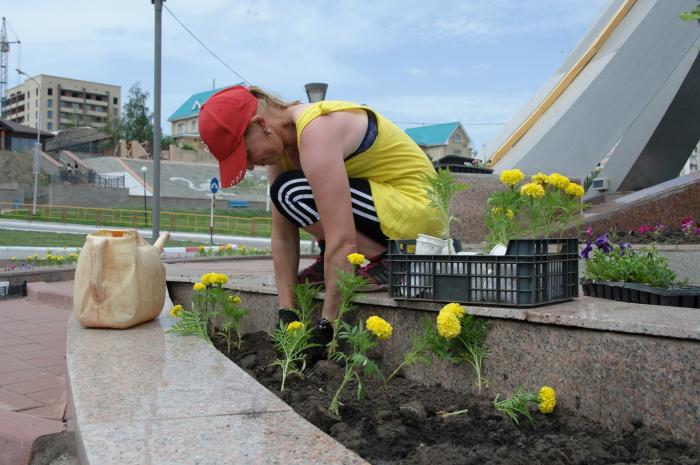 ГЛАВНОЕ НА СЕГОДНЯ