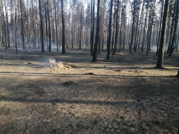 ГЛАВНОЕ НА СЕГОДНЯ