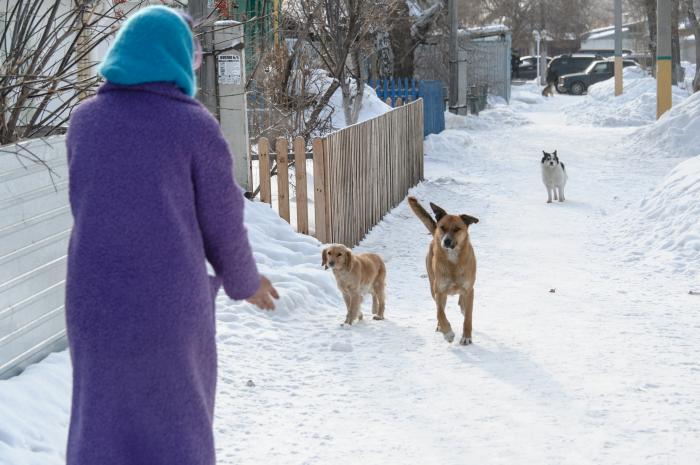 ГЛАВНОЕ НА СЕГОДНЯ