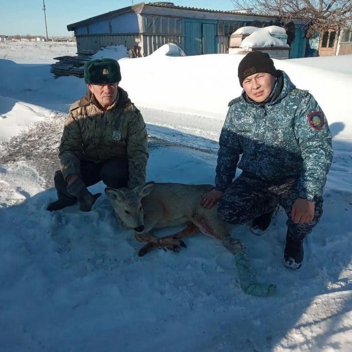 ГЛАВНОЕ НА СЕГОДНЯ