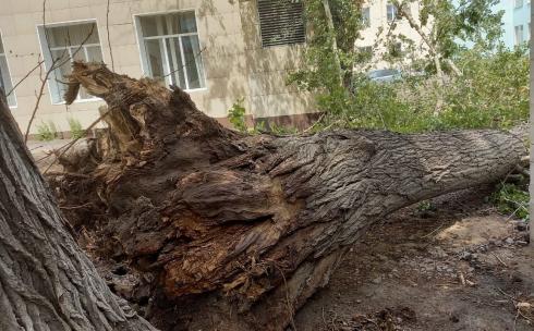 Последствия ураганного ветра в Караганде