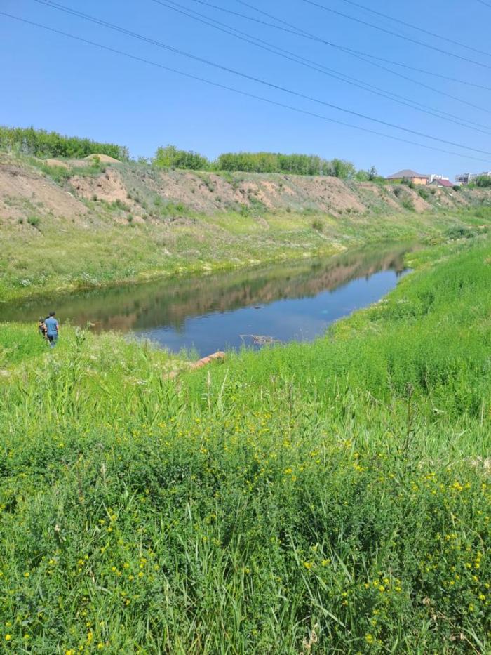 В Петропавловске 15-летний   подросток спас ребёнка