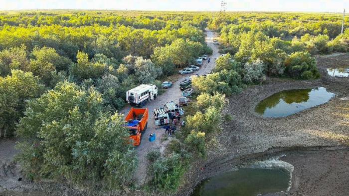 Трагедия на Сырдарье: 150 человек ищут двух утонувших детей
                22 августа 2023, 13:42