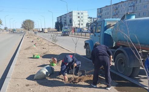 В Балхаше ко Дню Республики посадили деревья