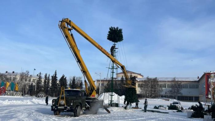 Скандал из-за не оплаченной акиматом елки разгорелся в Житикаре
                11 января 2024, 12:52