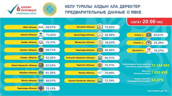 Референдум по АЭС: Явка составила 63,87 %