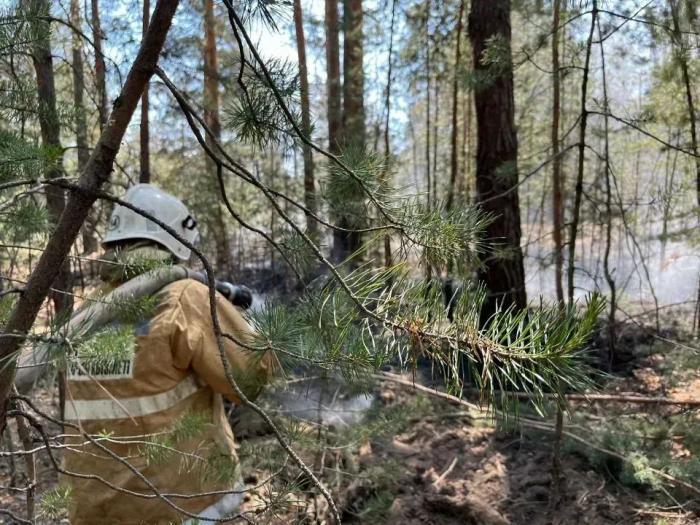 Точка по уголовным делам по факту пожара в Семей орманы поставлена - Генпрокуратура