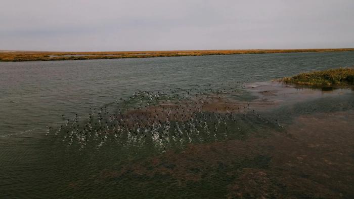 К концу года объем воды в Аральском море вырастет до 23,4 млрд кубометров