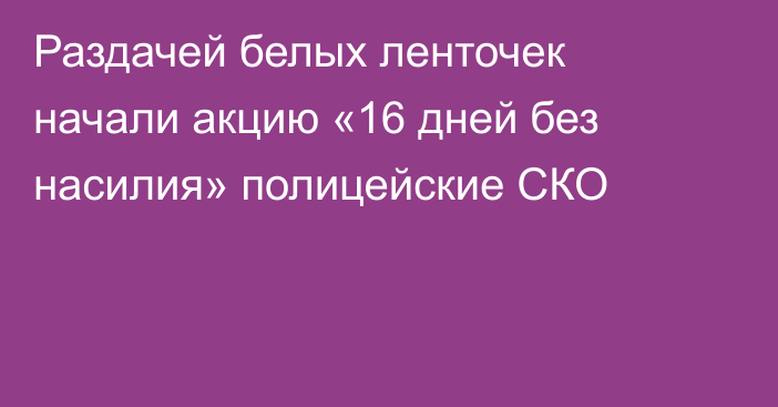 Раздачей белых ленточек начали акцию «16 дней без насилия» полицейские СКО