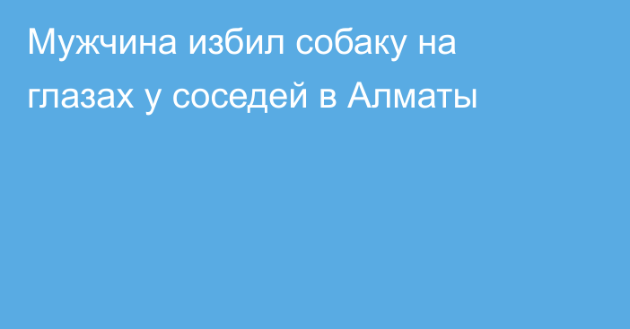 Мужчина избил собаку на глазах у соседей в Алматы