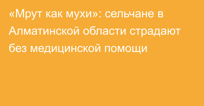 «Мрут как мухи»: сельчане в Алматинской области страдают без медицинской помощи