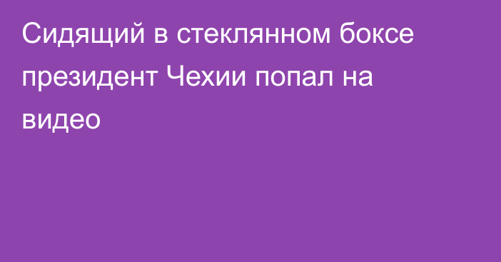 Сидящий в стеклянном боксе президент Чехии попал на видео