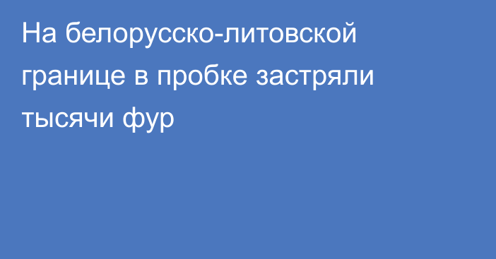 На белорусско-литовской границе в пробке застряли тысячи фур