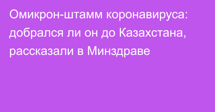 Омикрон-штамм коронавируса: добрался ли он до Казахстана, рассказали в Минздраве