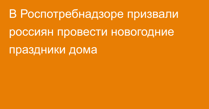 В Роспотребнадзоре призвали россиян провести новогодние праздники дома