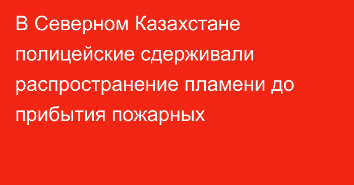 В Северном Казахстане полицейские сдерживали распространение пламени до прибытия пожарных