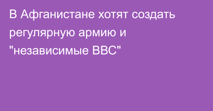 В Афганистане хотят создать регулярную армию и 