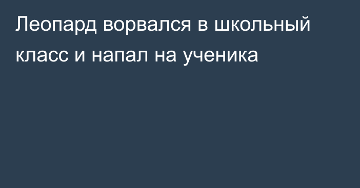 Леопард ворвался в школьный класс и напал на ученика