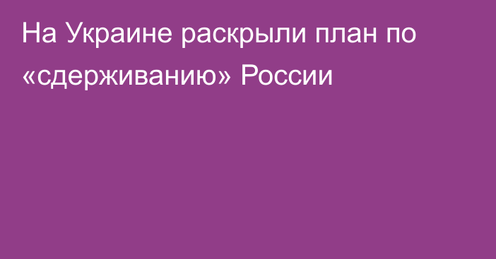 На Украине раскрыли план по «сдерживанию» России