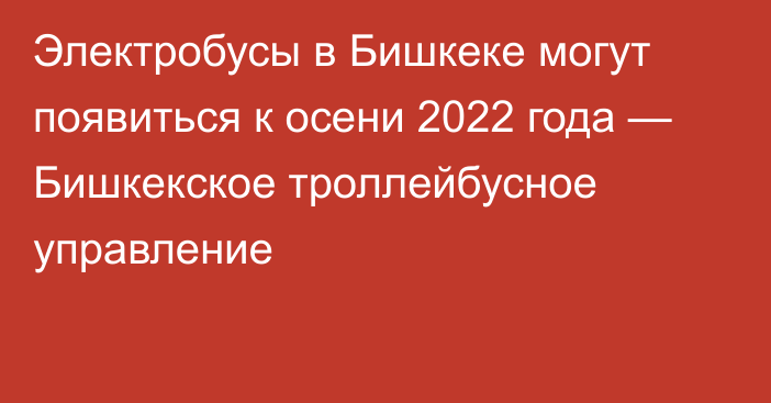 Электробусы в Бишкеке могут появиться к осени 2022 года — Бишкекское троллейбусное управление