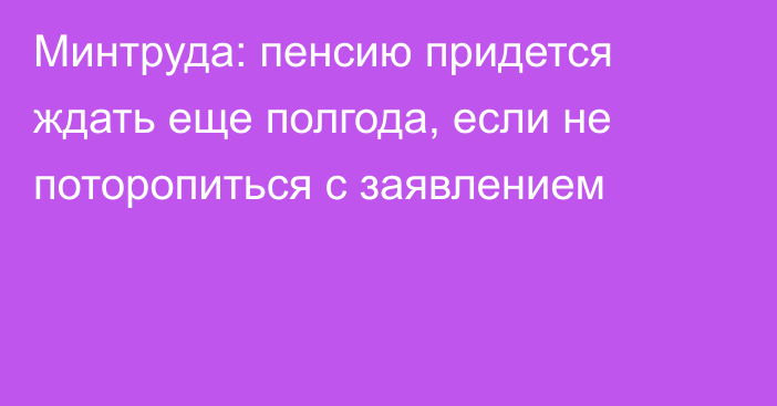 Минтруда: пенсию придется ждать еще полгода, если не поторопиться с заявлением