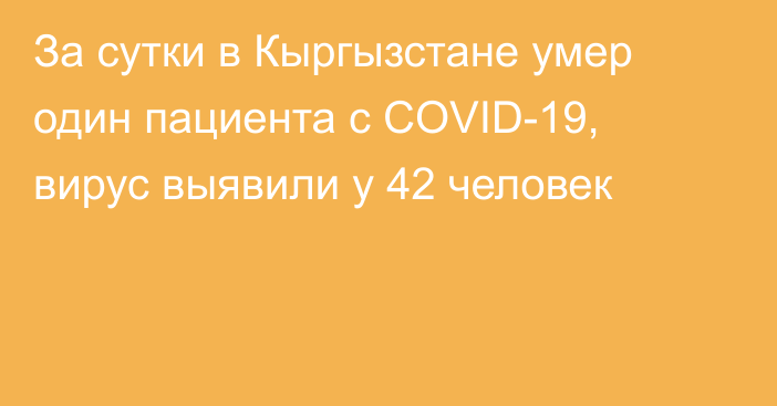 За сутки в Кыргызстане умер один пациента с COVID-19, вирус выявили у 42 человек