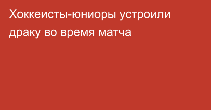 Хоккеисты-юниоры устроили драку во время матча