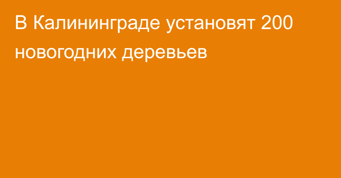 В Калининграде установят 200 новогодних деревьев