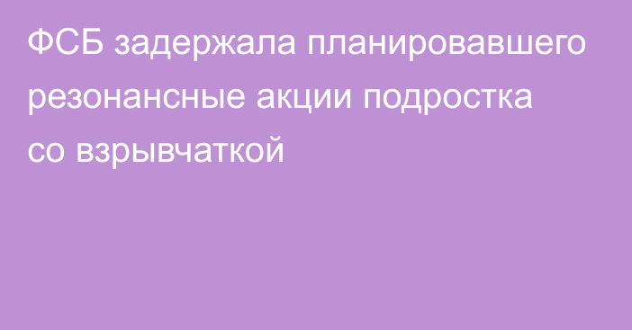 ФСБ задержала планировавшего резонансные акции подростка со взрывчаткой