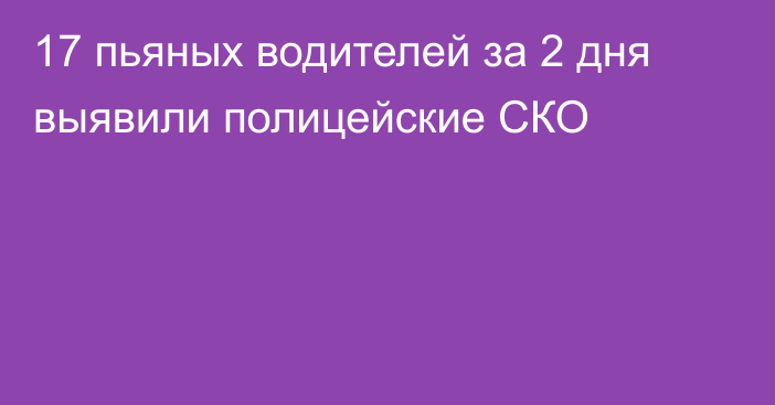 17 пьяных водителей за 2 дня выявили полицейские СКО