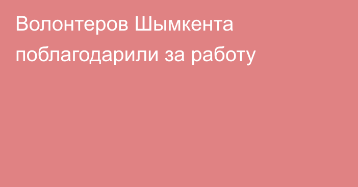 Волонтеров Шымкента поблагодарили за работу