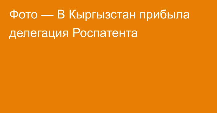 Фото — В Кыргызстан прибыла делегация Роспатента