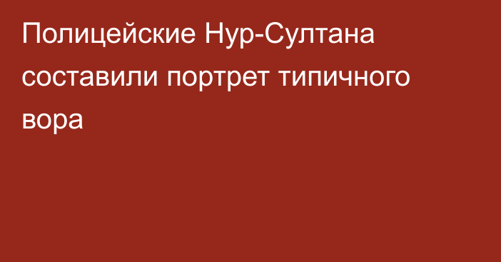 Полицейские Нур-Султана составили портрет типичного вора