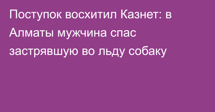 Поступок восхитил Казнет: в Алматы мужчина спас застрявшую во льду собаку