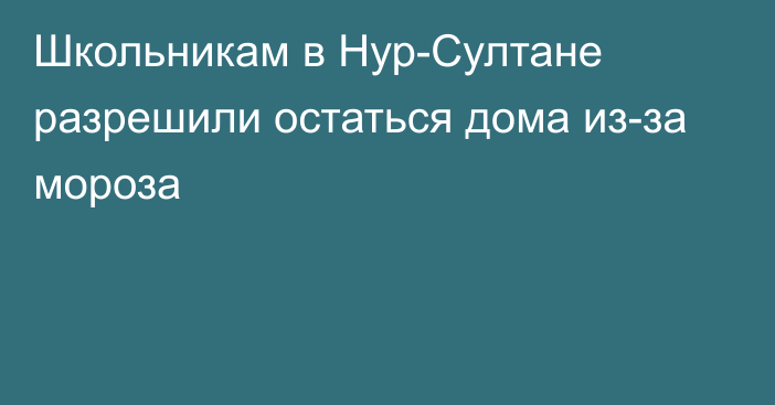 Школьникам в Нур-Султане разрешили остаться дома из-за мороза