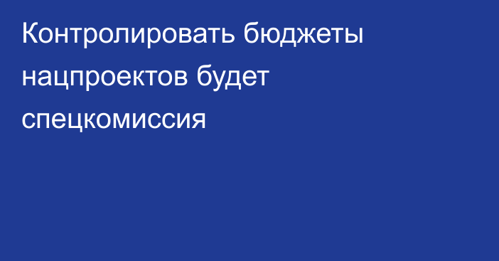 Контролировать бюджеты нацпроектов будет спецкомиссия