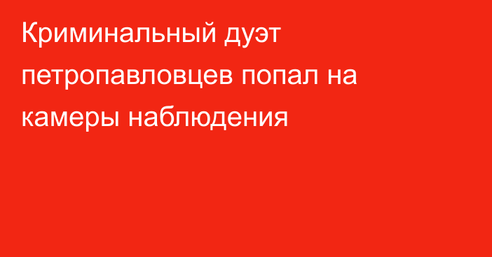 Криминальный дуэт петропавловцев попал на камеры наблюдения