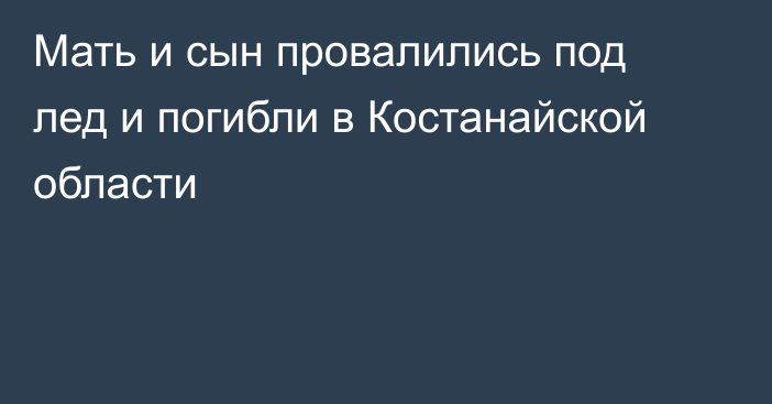 Мать и сын провалились под лед и погибли в Костанайской области