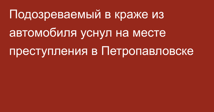 Подозреваемый в краже из автомобиля уснул на месте преступления в Петропавловске