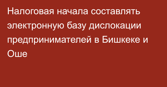 Налоговая начала составлять электронную базу дислокации предпринимателей в Бишкеке и Оше