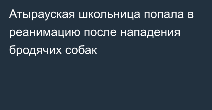 Атырауская школьница попала в реанимацию после нападения бродячих собак