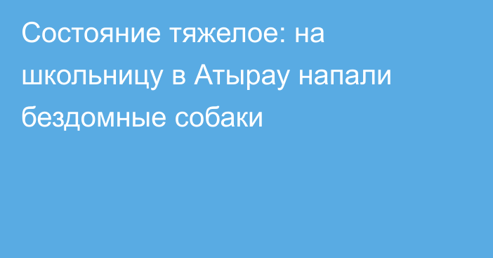 Состояние тяжелое: на школьницу в Атырау напали бездомные собаки