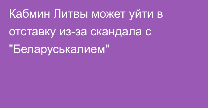 Кабмин Литвы может уйти в отставку из-за скандала с 