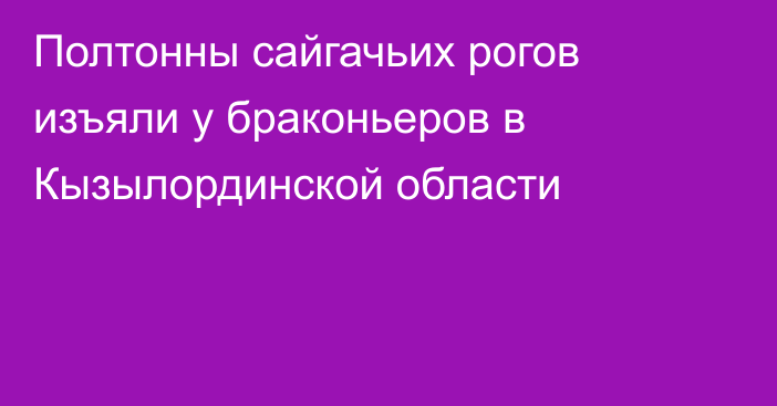 Полтонны сайгачьих рогов изъяли у браконьеров в Кызылординской области