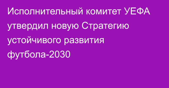 Исполнительный комитет УЕФА утвердил новую Стратегию устойчивого развития футбола-2030