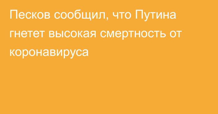 Песков сообщил, что Путина гнетет высокая смертность от коронавируса