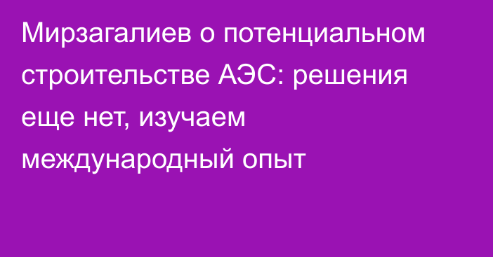 Мирзагалиев о потенциальном строительстве АЭС: решения еще нет, изучаем международный опыт