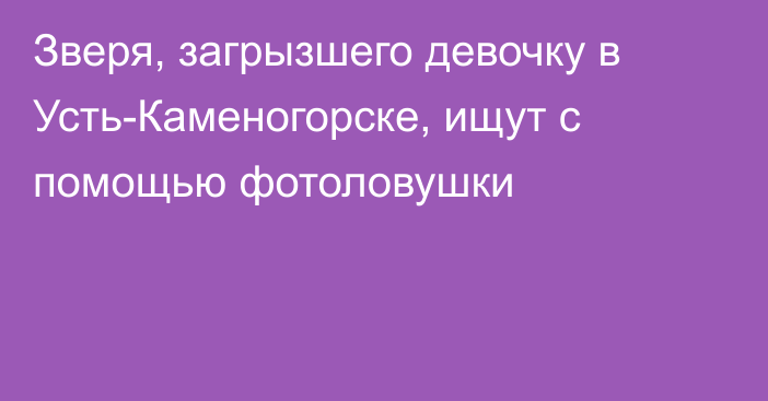 Зверя, загрызшего девочку в Усть-Каменогорске, ищут с помощью фотоловушки