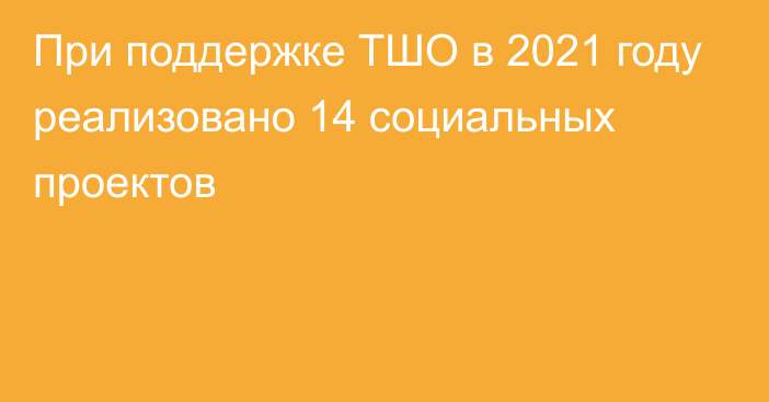 При поддержке ТШО в 2021 году реализовано 14 социальных проектов